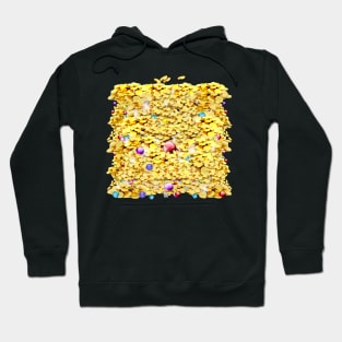 Treasure Hoodie